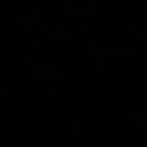 Meet your Posher, Ariel